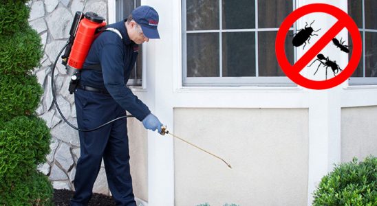 Mut Hamam Böceği İlaçlama böcek ilaçlama ve haşere kontrolü — ilaclama-tr.com